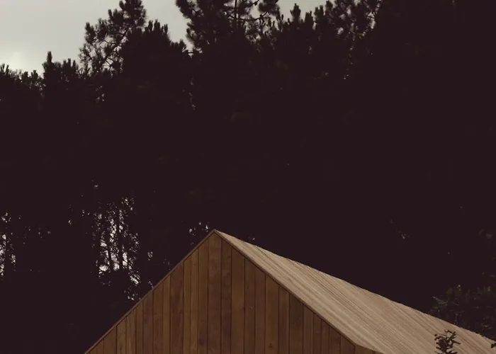 Mu_moradas No Ulla * Teo